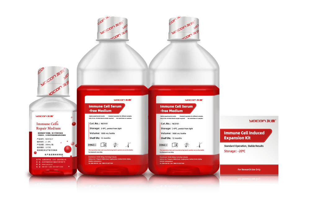 Home - Serum-Free Media for MSC, NK Cell & Exosome Therapies